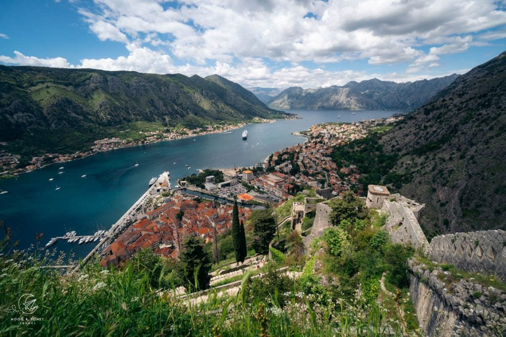 Kotor